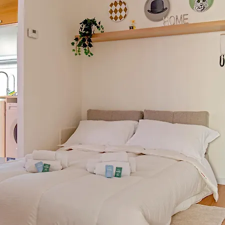 Homiday - New Flat - Moderno - - Cisanello Apartment